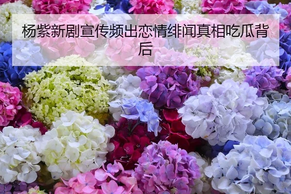 杨紫新剧宣传频出恋情绯闻真相吃瓜背后
